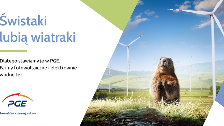 PGE Polska Grupa Energetyczna (1)
