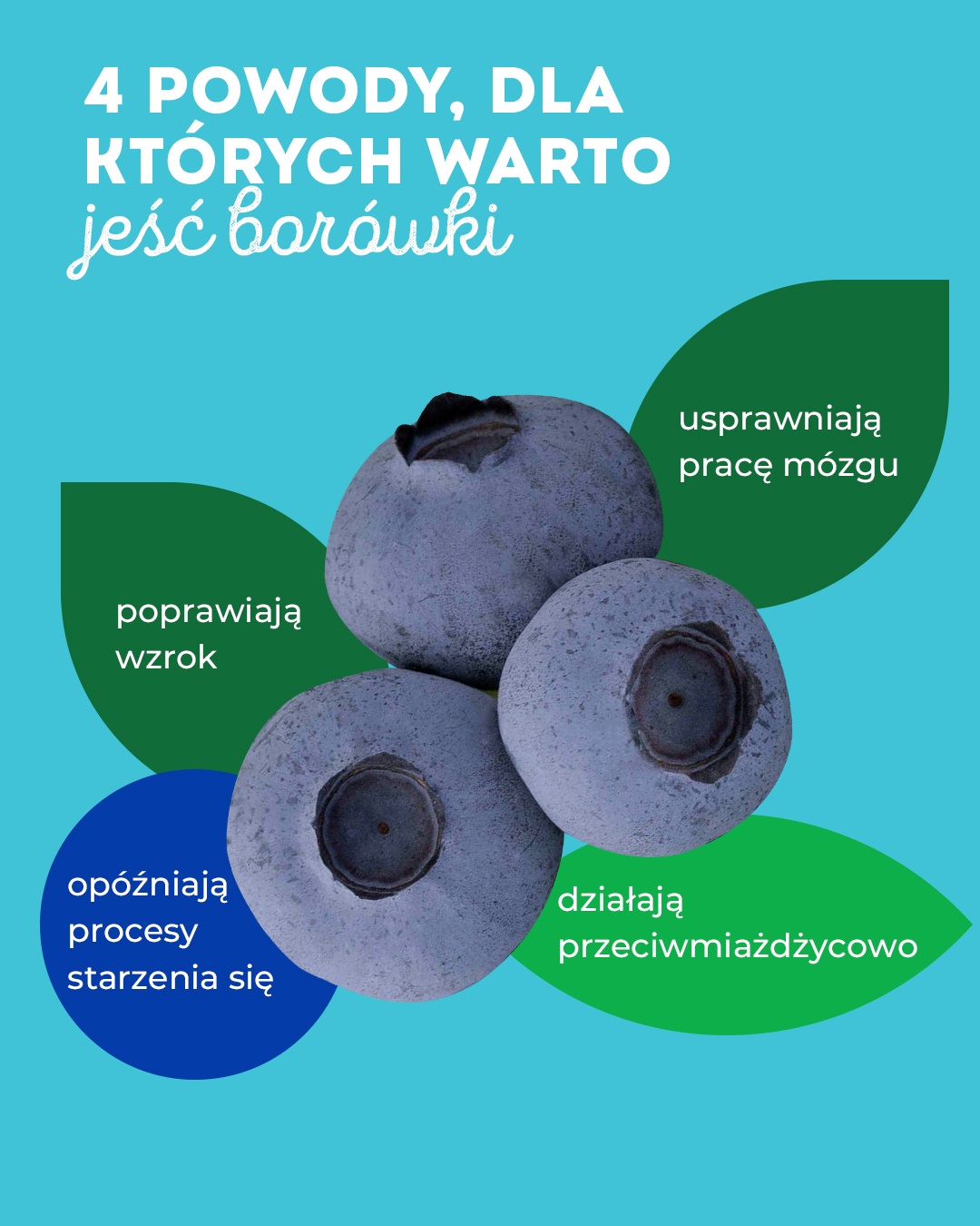 Krajowy Związek Grup Producentów Owoców i Warzyw (5)