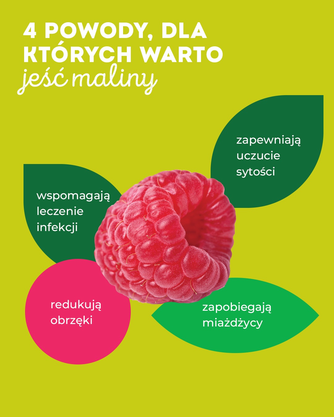 Krajowy Związek Grup Producentów Owoców i Warzyw (5)