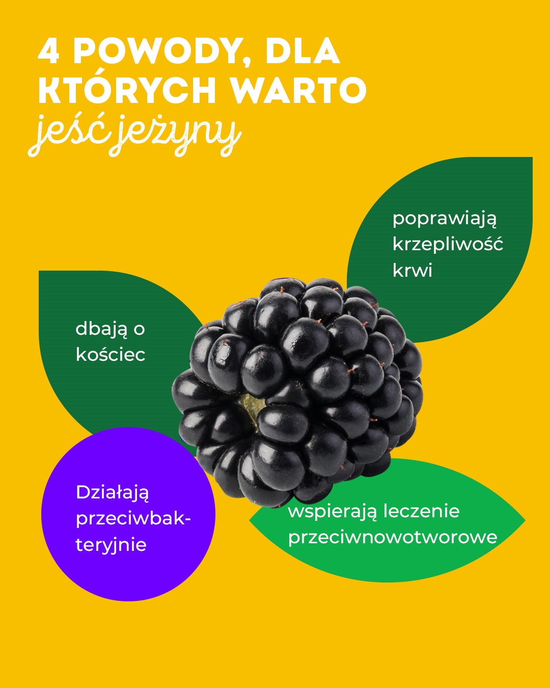 Krajowy Związek Grup Producentów Owoców i Warzyw (5)