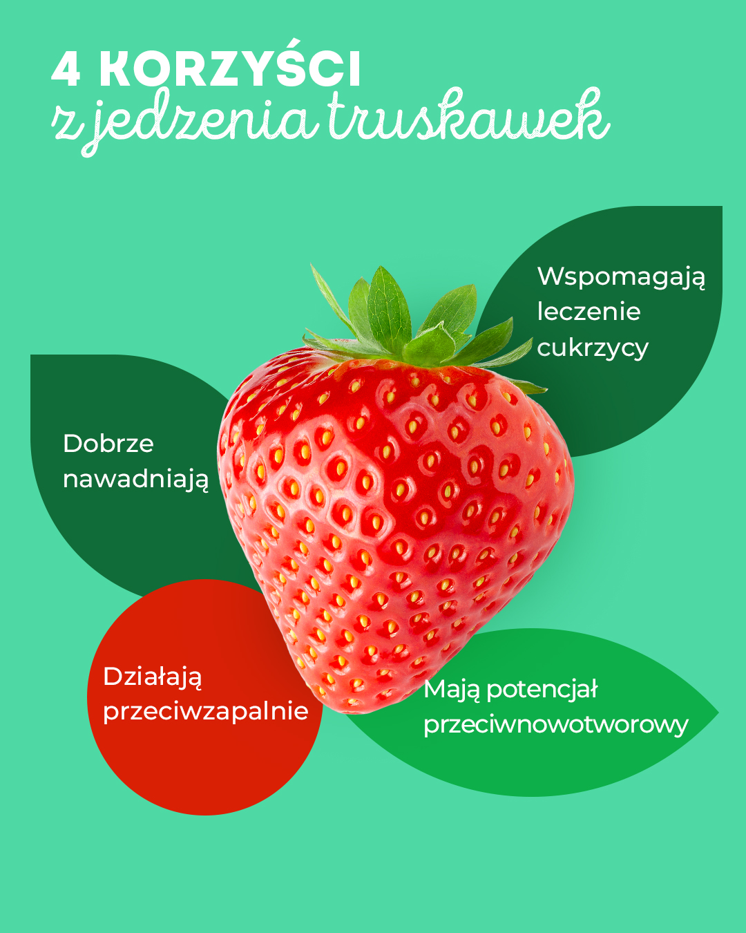Krajowy Związek Grup Producentów Owoców i Warzyw (5)