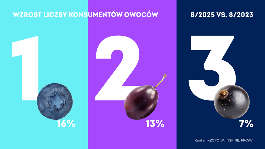 Krajowy Związek Grup Producentów Owoców i Warzyw (4)