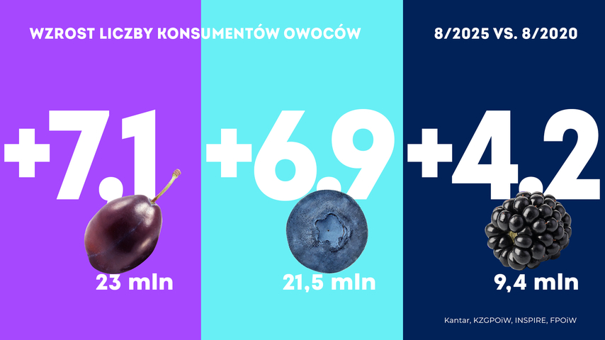 Krajowy Związek Grup Producentów Owoców i Warzyw (5)