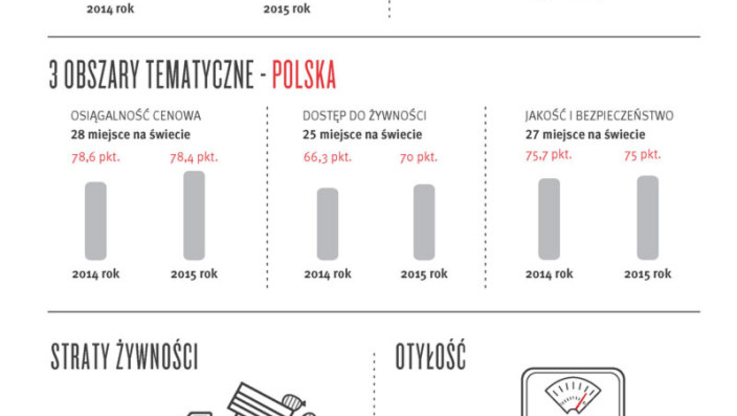 Infografika Polska 2015