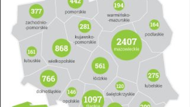 Doradcy podatkowi w Polsce - infografika
