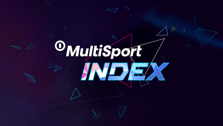 Multisport INDEX - logo