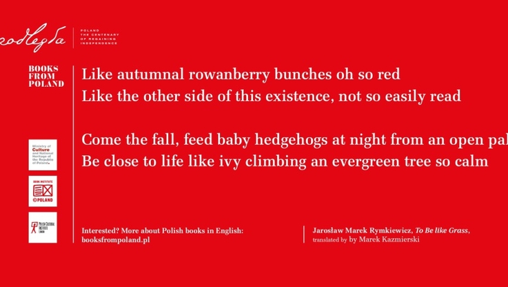 Polska poezja w londyńskim metrze (2)