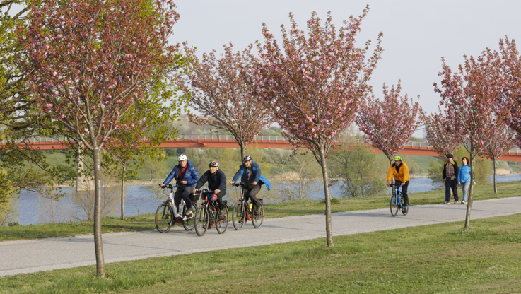 © Eurocomm-PR/Regina Hügli - Radfahren-Donauinsel