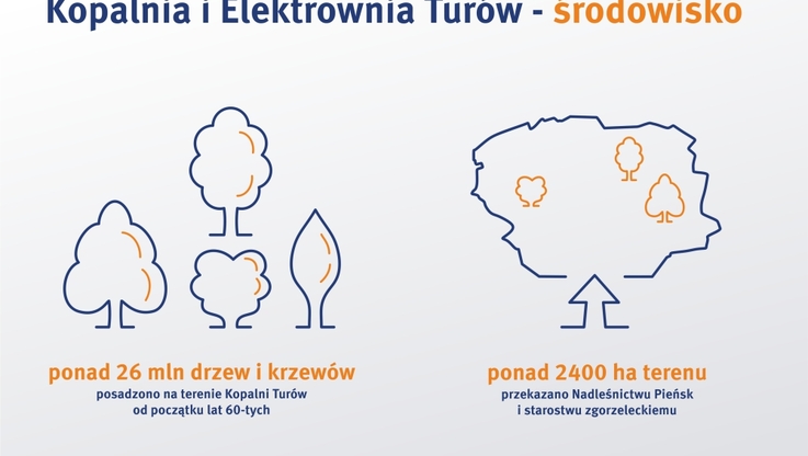Lasy Turów - infografika