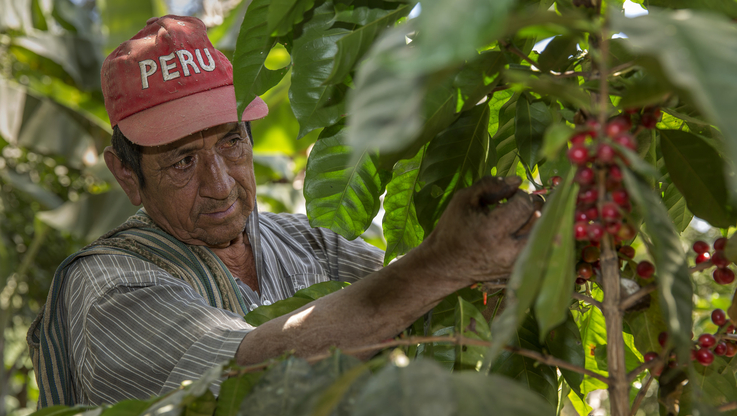 Fairtrade Polska/Claudio Morales Machado - Peru 