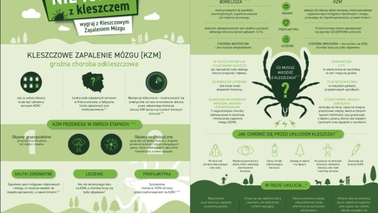 KZM - infografika