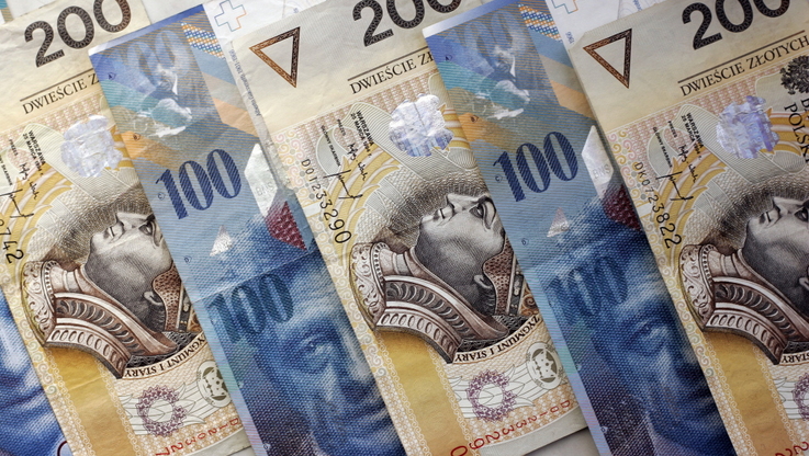 
								Banknoty: polski złoty i euro
							
