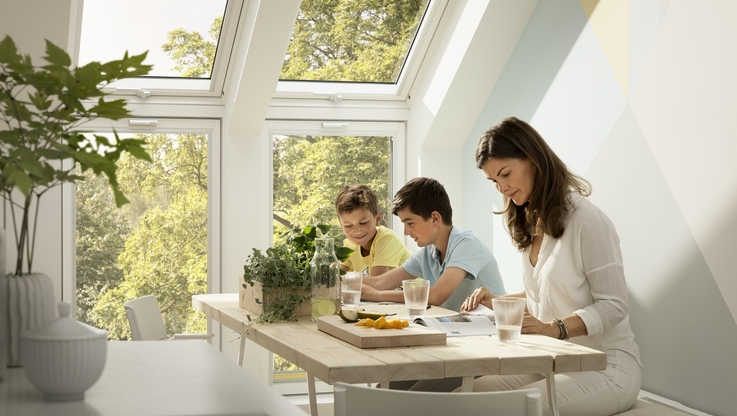 VELUX - Barometr zdrowych domów (1)