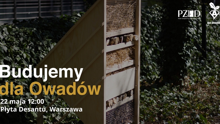 PZFD - budowa największego domu dla owadów