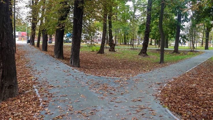 Więcej roślinności w Parku Młodzieżowym; Fot. Daniel Gębala