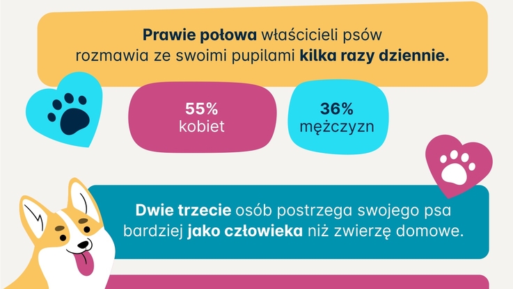 Polski gaming rośnie w siłę - DRAGO entertainment zadebiutuje na Głównym  Rynku GPW