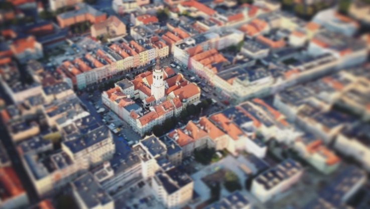 Fot. UM Świdnica