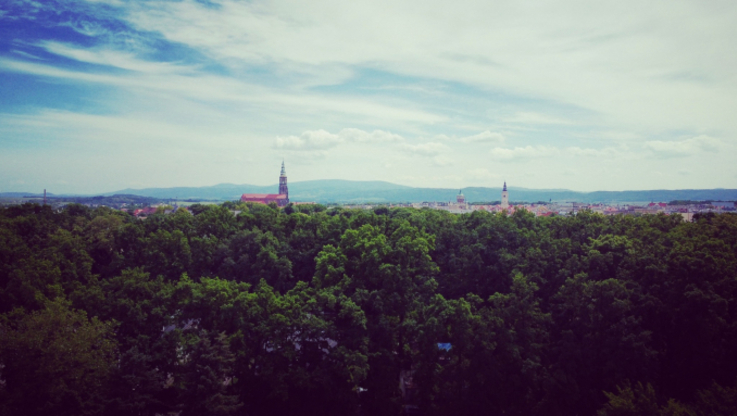 Fot. UM Świdnica