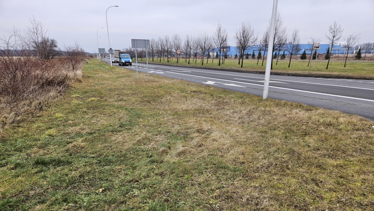 Fot. W.Bąkiewicz/UM Świdnica