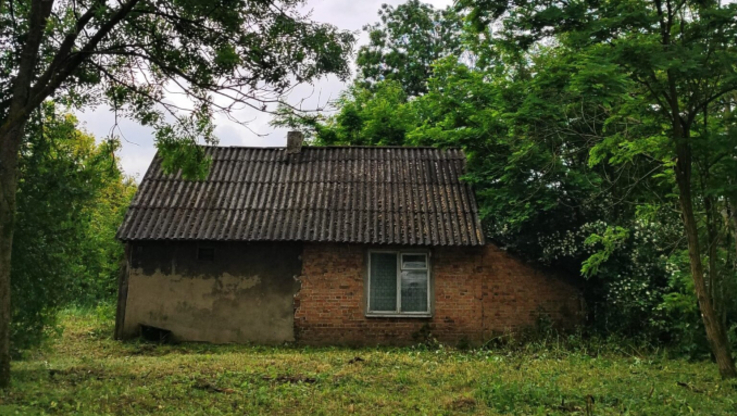 Fot. UG Buczek