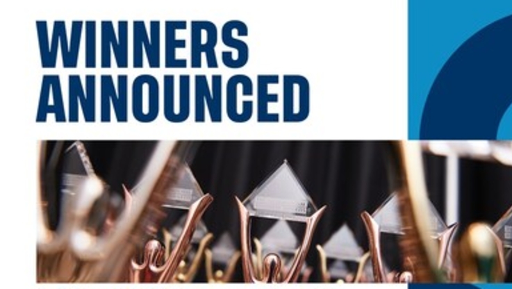 PR Newswire/The Stevie Awards