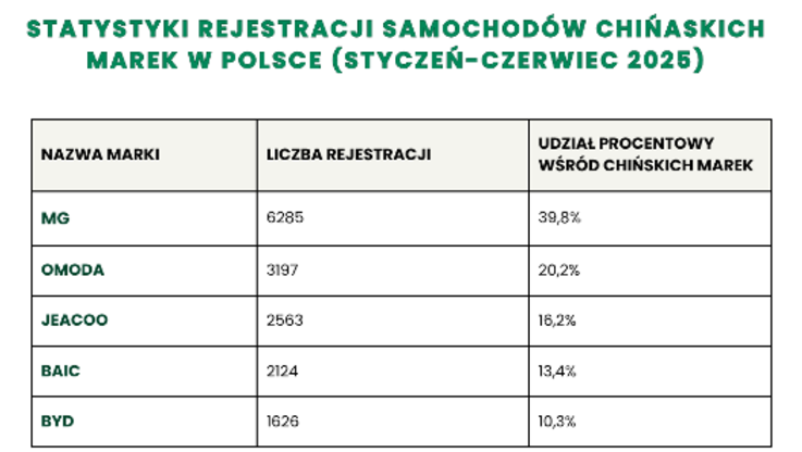 mamGo.pl (3)