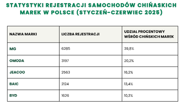 mamGO.pl (3)