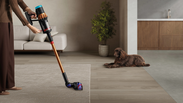 Dyson (1)