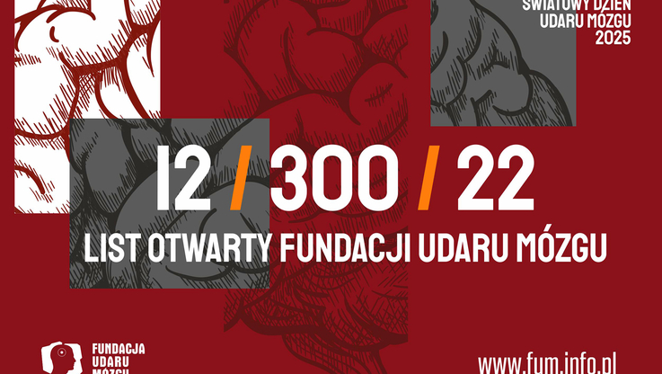 Fundacja Udaru Mózgu