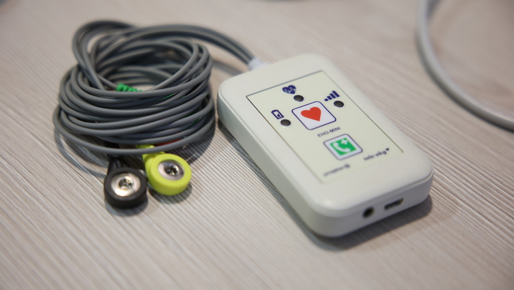 Fot. PAP/Ł.Gągulski (4)