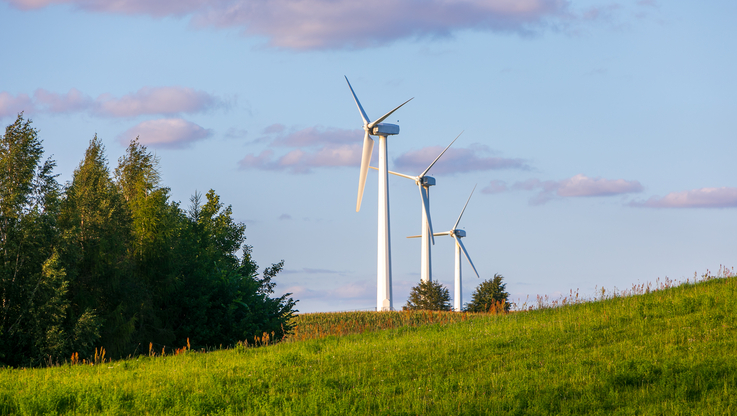 Fot. PAP MediaRoom/P.Werewka