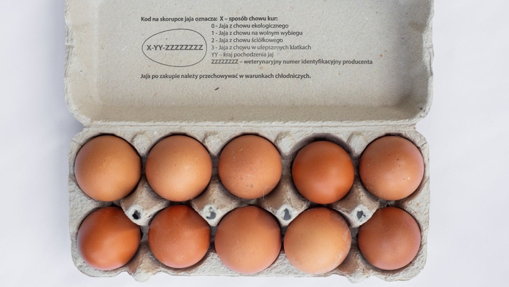 Stowarzyszenie Otwarte Klatki (1)