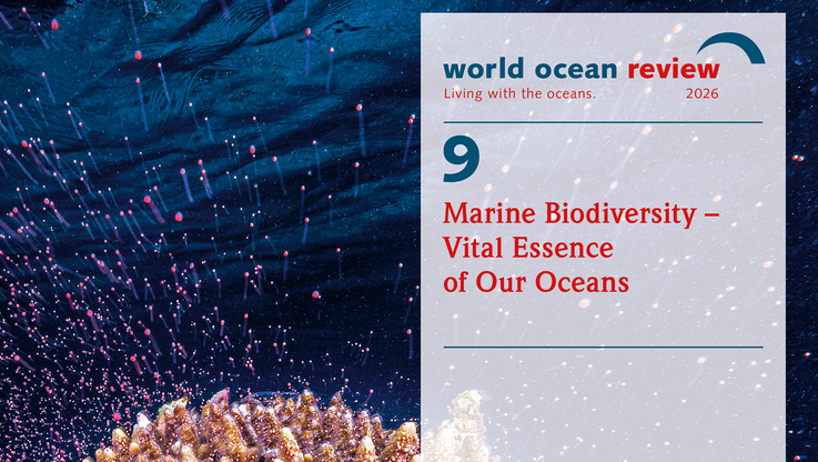 News Aktuell/maribus gGmbH