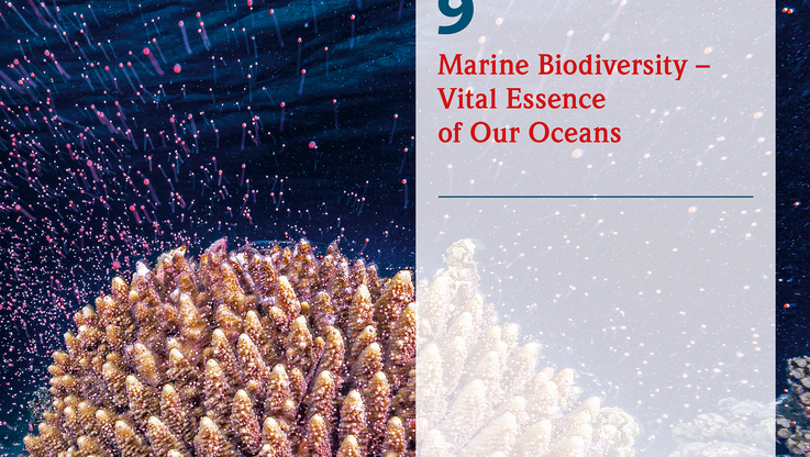 News Aktuell/maribus gGmbH