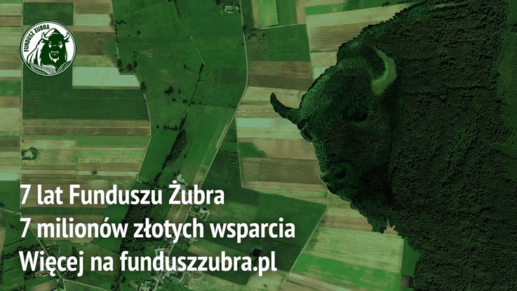 Fundusz Żubra (2)
