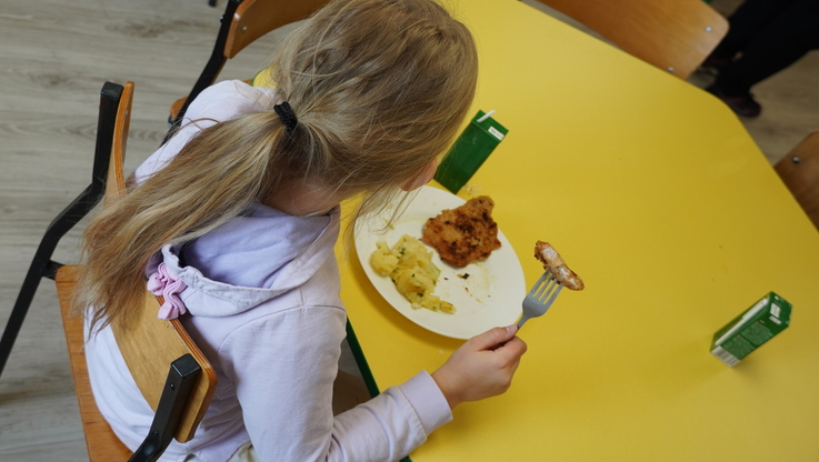 Polska Akcja Humanitarna (2)