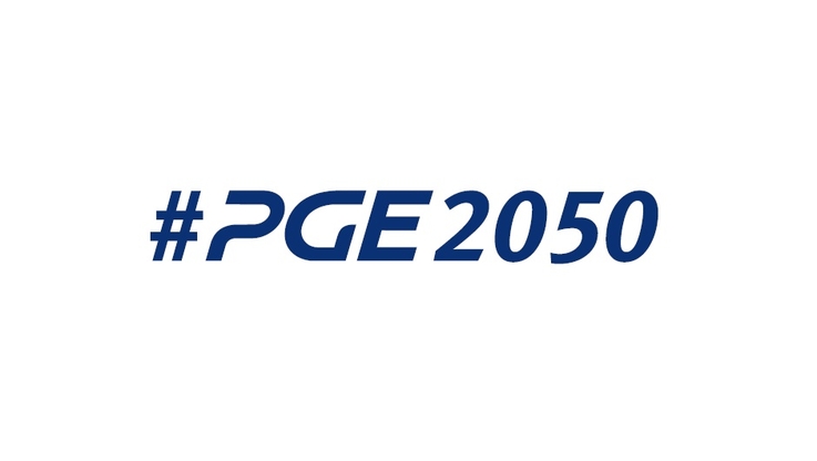 PGE Polska Grupa Energetyczna - logo