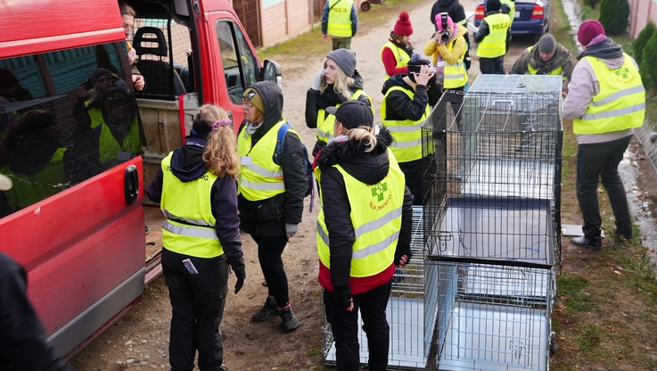 Pogotowie dla Zwierząt - Interwencja wolontariuszy „Pogotowia dla Zwierząt” trwała w schronisku kilka dni