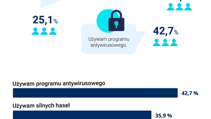 Kwestia Bezpieczeństwa - infografika 