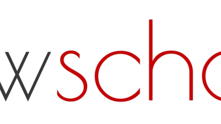 New School - logo
