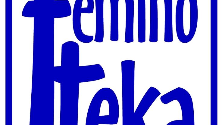 Fundacja Feminoteka - logo