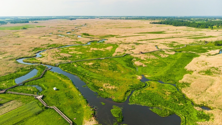 PGE Polska Grupa Energetyczna (1)