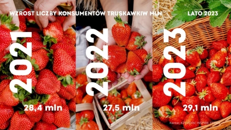 Krajowy Związek Grup Producentów Owoców i Warzyw