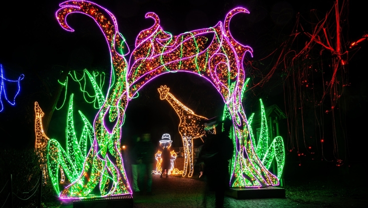 Multidekor - Park Miliona Świateł w Orientarium (3)