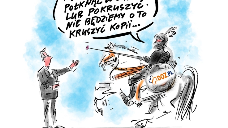DOZ.pl (5)