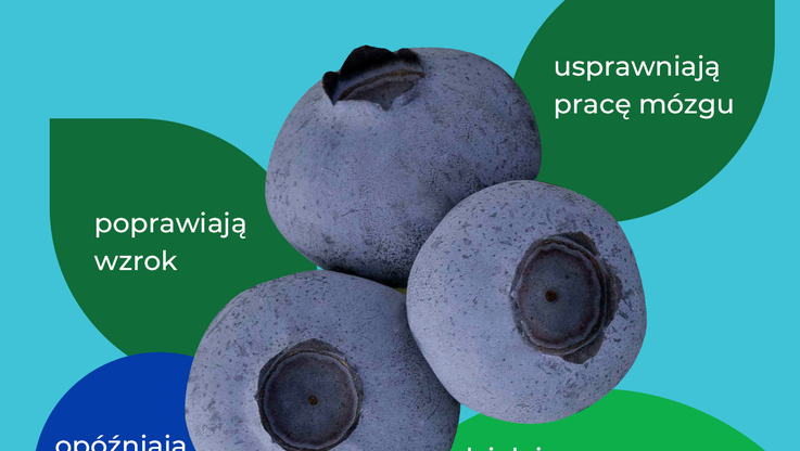 Krajowy Związek Grup Producentów Owoców i Warzyw (4)