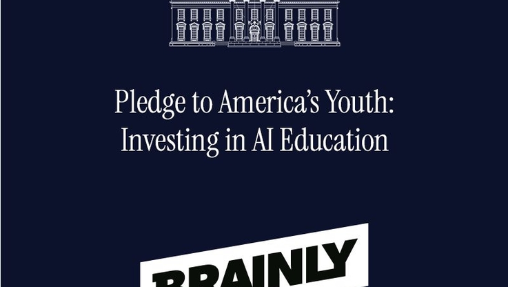 Brainly (1)