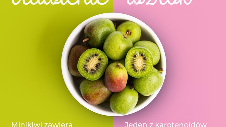 Krajowy Związek Grup Producentów Owoców i Warzyw (4)