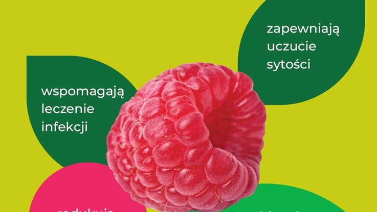 Krajowy Związek Grup Producentów Owoców i Warzyw (5)