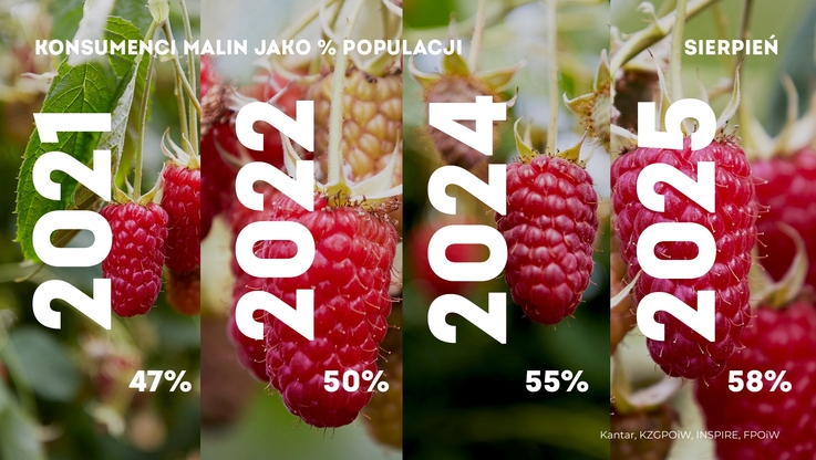 Krajowy Związek Grup Producentów Owoców i Warzyw (6)